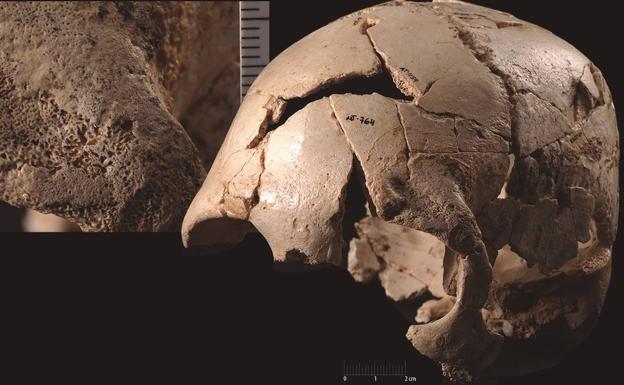 Accidentes y violencia: Un estudio presenta el análisis forense de los cráneos de la Sima de los Huesos de Atapuerca