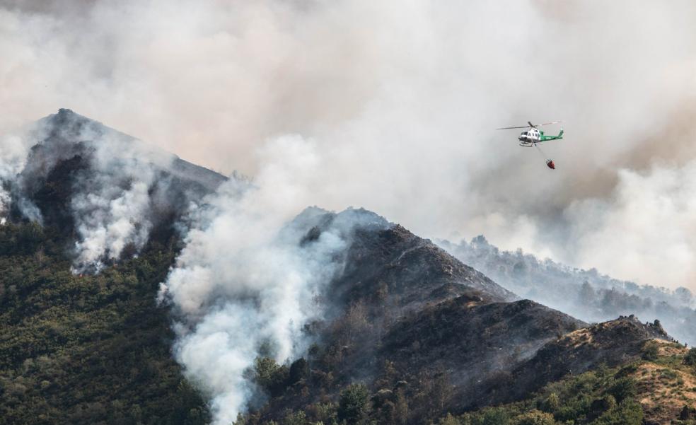 La naturaleza resurgirá en el paraje Esquivia