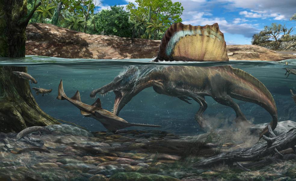 El dinosaurio carnívoro más grande podía cazar bajo el agua