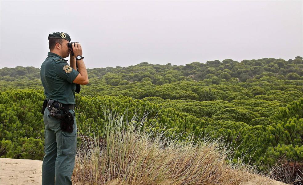 Más de mil científicos de 25 sociedades salen en defensa de Doñana