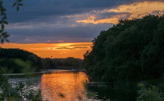 El humedal de la Degollada y los sotos del Cidacos, temática de Concurso Fotográfico de Naturaleza 'Ciudad de Calahorra'