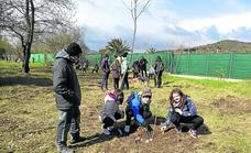 Más de 200 arnedanos retoman el 'día del árbol' plantando 140 ejemplares en el Cidacos