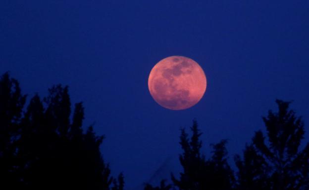 Superluna rosa de abril: cuándo ver este fenómeno astronómico