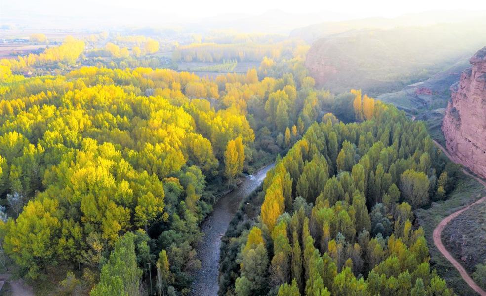 El 'Bosque pedagógico' de Nájera será mejorado con cerca de 70.000 euros