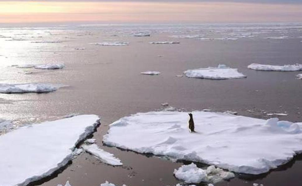 La Antártida registra sus niveles más bajos de hielo