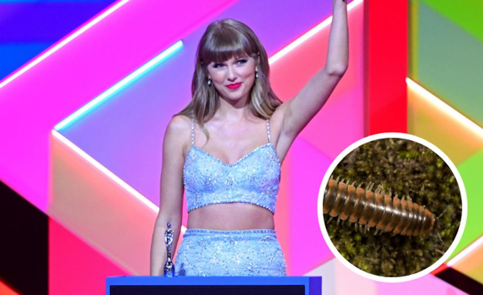 Un milpiés llamado Taylor Swift