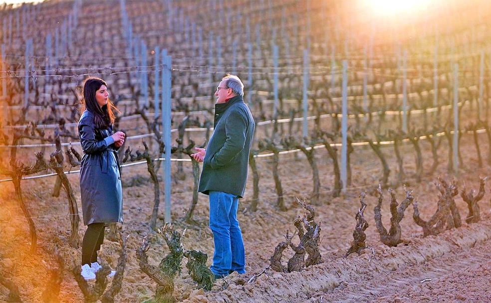 'El Ciclo de la Vid', el nuevo programa de TVR sobre el Rioja