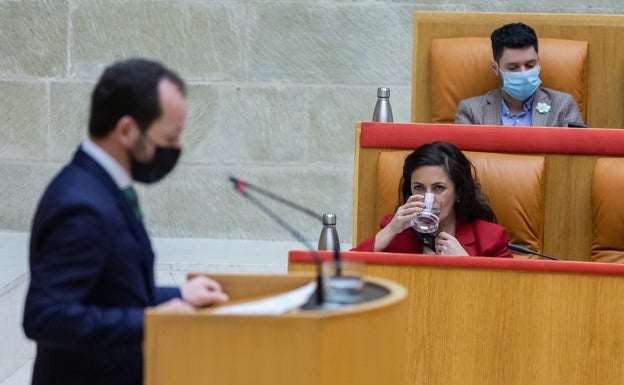 Cs pide al Parlamento que Romero sea reprobada y cesada como consejera por tránsfuga