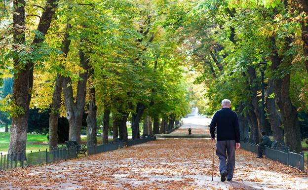 La Rioja acelera su envejecimiento: hay un 33% más de mayores que en el 2000