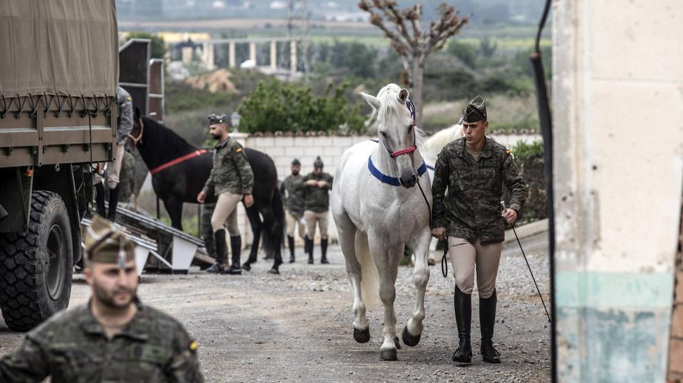 Los caballos de la Guardia Real, una raza aparte