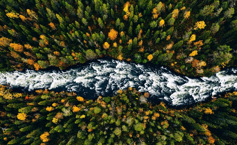 «La naturaleza es el proveedor más generoso que tenemos»