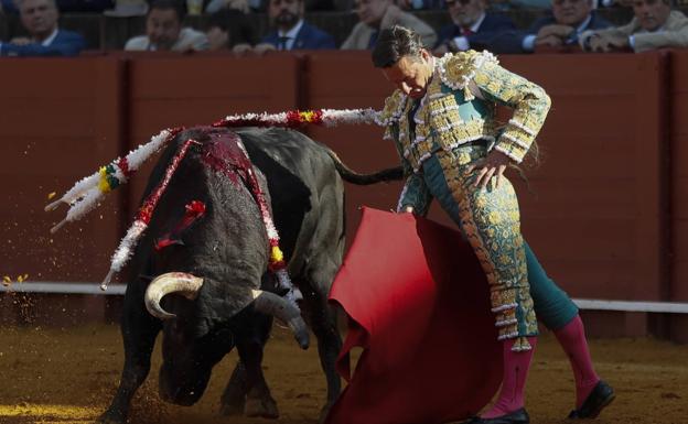 Un ramillete de verónicas en tarde pobre