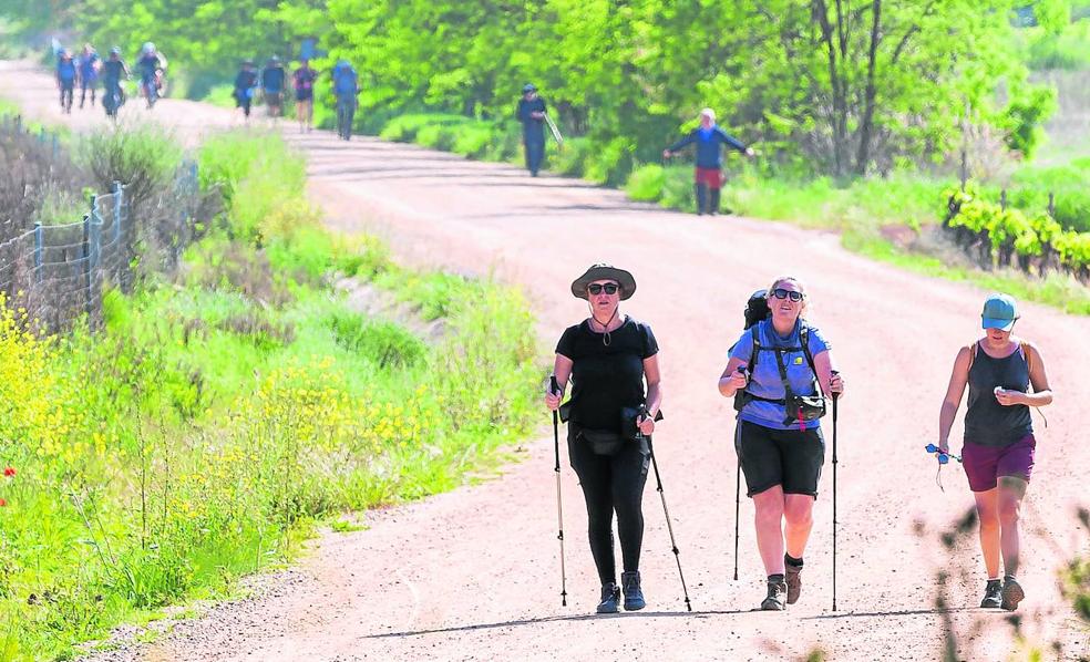 El Camino de Santiago renace tras la pandemia