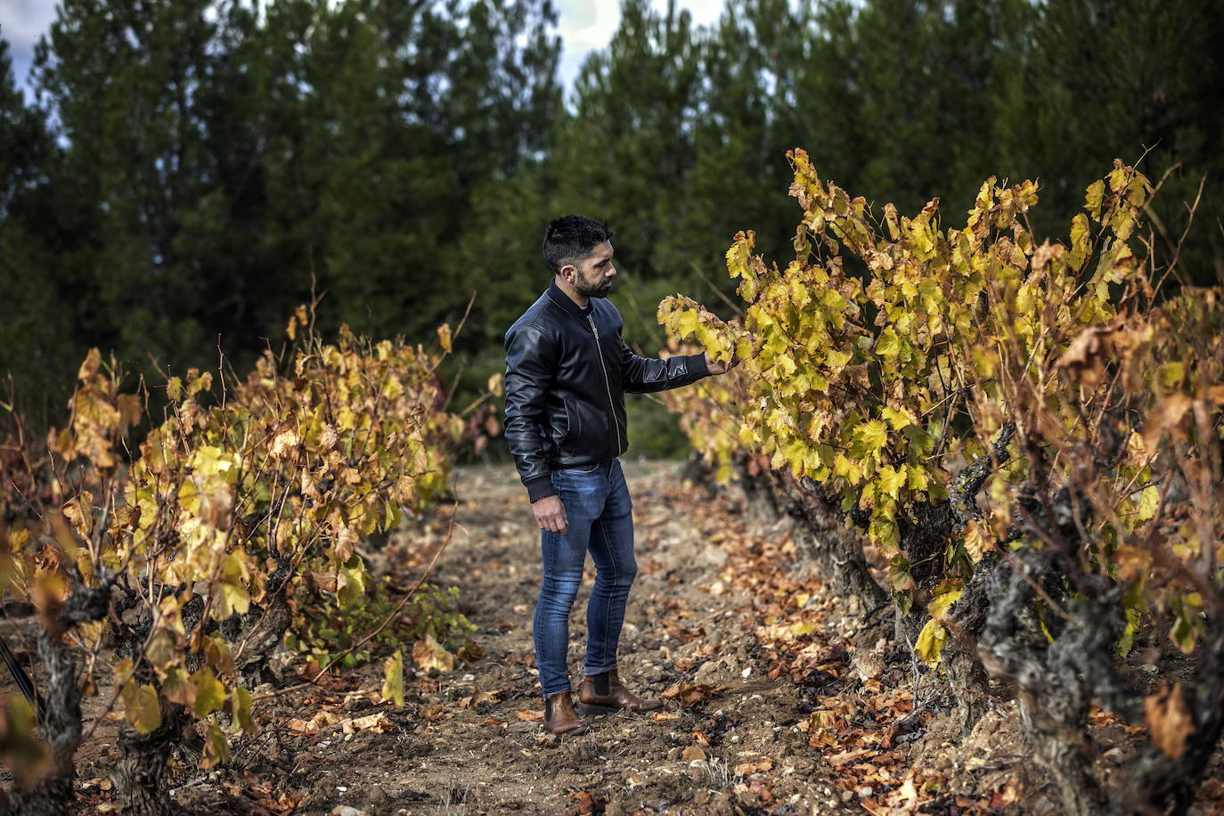 «La tierra transmite libertad y permite crear las esculturas que son las vides