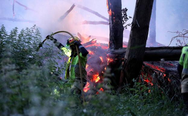 Incendios de pelusas en el parque del Ebro y Varea