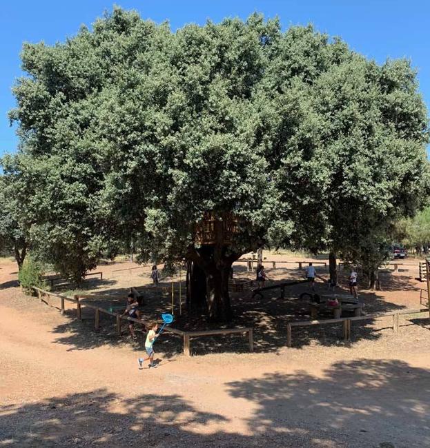 La diversión contra el calor