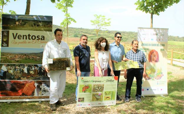 En marcha el oasis para mariposas y abejas