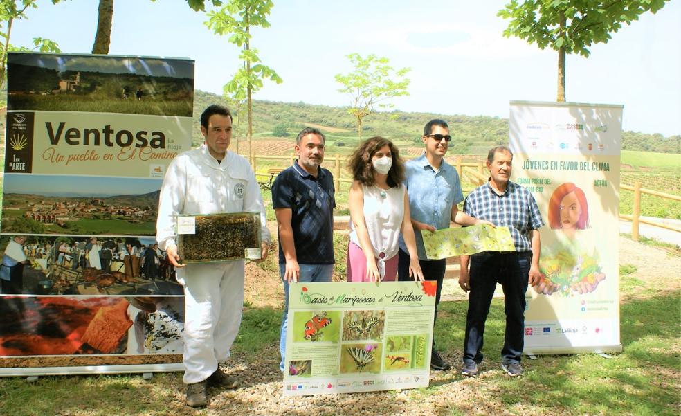 En marcha el oasis para mariposas y abejas