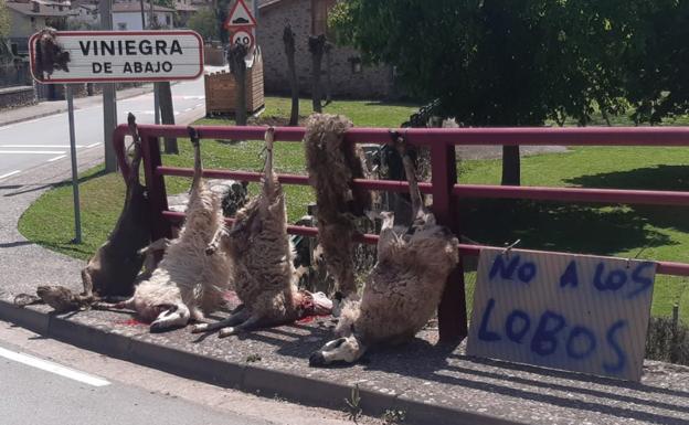 Los ganaderos exigen poner en marcha lo acordado en la Mesa del Lobo