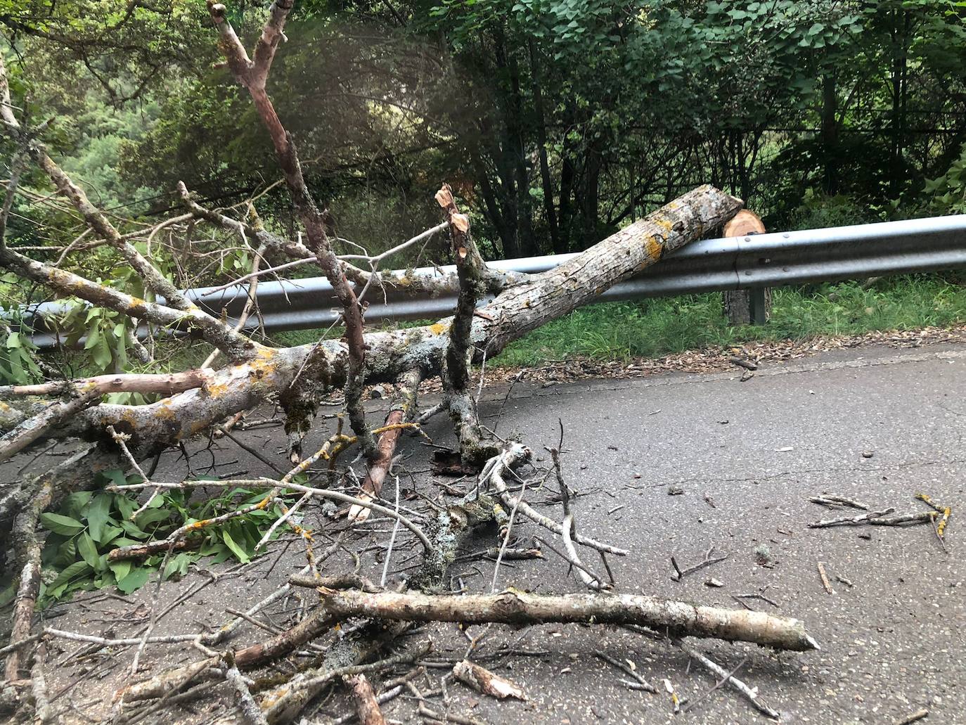 El Gobierno denuncia los actos vandálicos en el Alto Najerilla