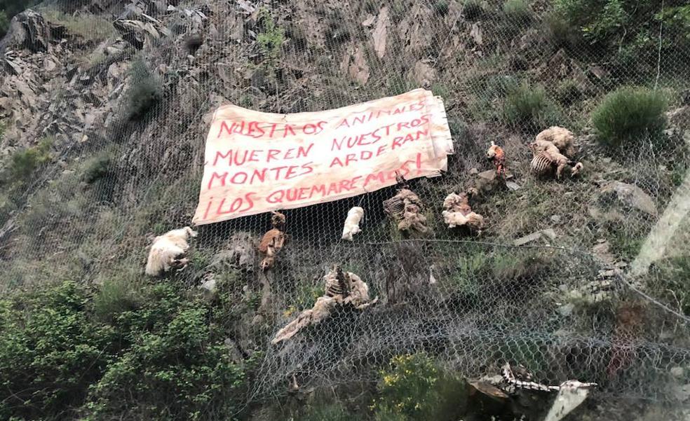 La protesta contra el lobo da un salto con cortes de carreteras y actos vandálicos