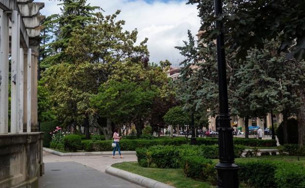 La Asociación Española Contra el Cáncer pide que no se pueda fumar en el Espolón