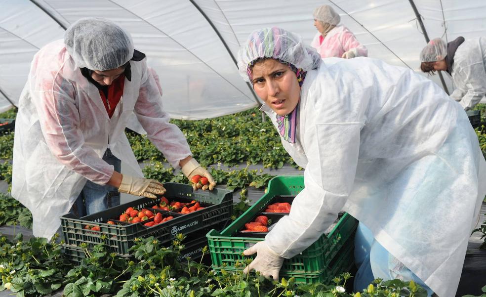 Escrivá ultima una reforma para cubrir con trabajadores extranjeros la falta de personal