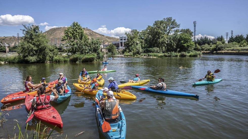 Jornada didáctica en kayak para conocer la fauna del Ebro