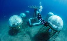 Nemo's Garden, el primer huerto submarino de plantas terrestres
