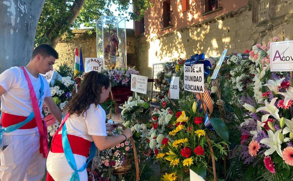 Flores que anuncian la vuelta