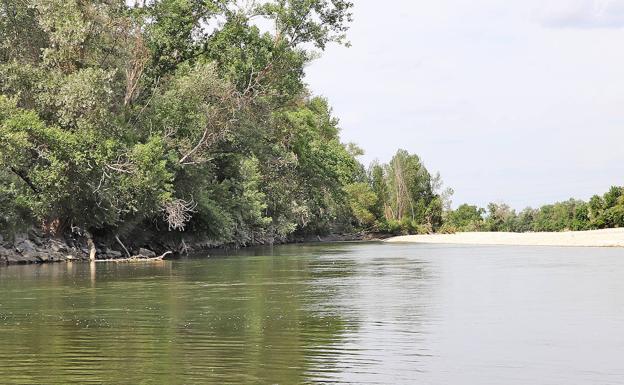 Cruz Roja realiza este domingo una limpieza del Ebro en Logroño