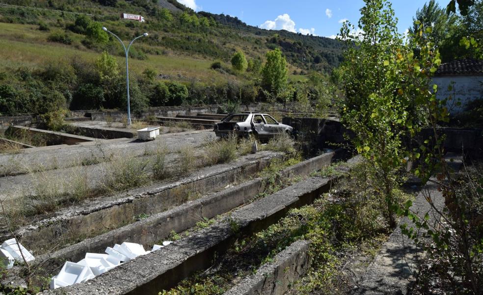 La piscifactoría sigue en el olvido
