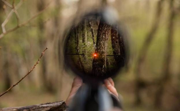 Más de 70 investigados en 10 provincias, entre ellas La Rioja, por falsificar la trazabilidad de piezas de caza