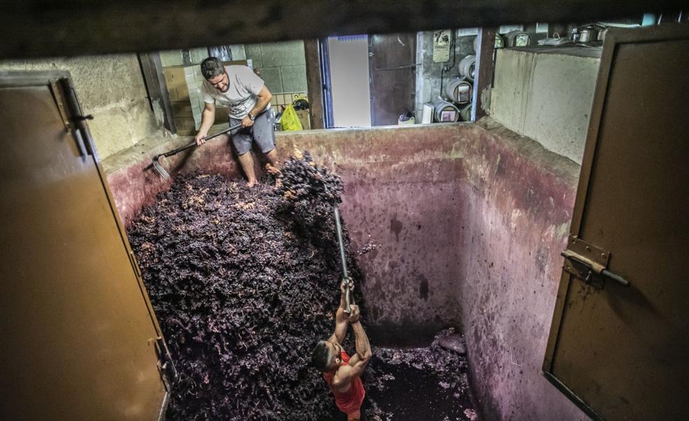 Teodoro Ruiz Monge: cosecheros del siglo XXI