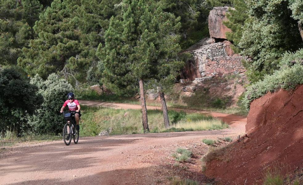 El día que Gonzalo se bajó de la bici