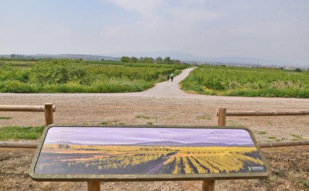 Dos rutas para disfrutar de las riberas del Ebro