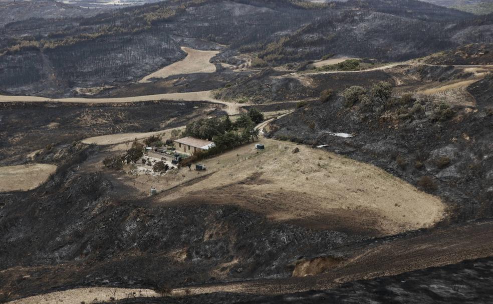 Consecuencias de los incendios forestales: «Sale más barato prevenir que extinguir»