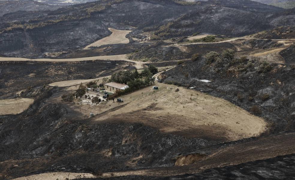 Consecuencias de los incendios forestales: «Sale más barato prevenir que extinguir»