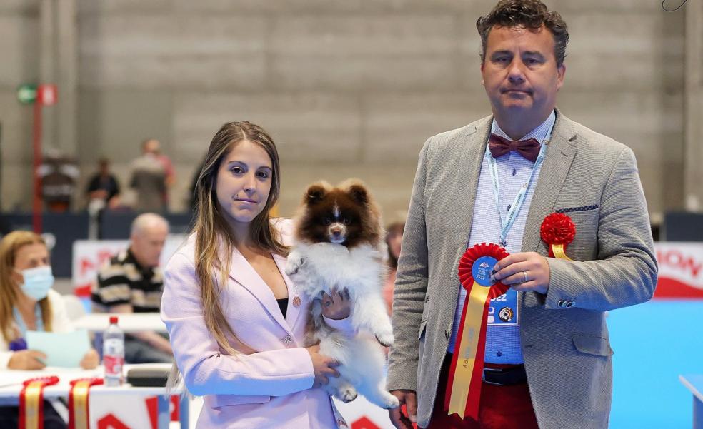 Medallas riojanas en la Exposición Mundial canina