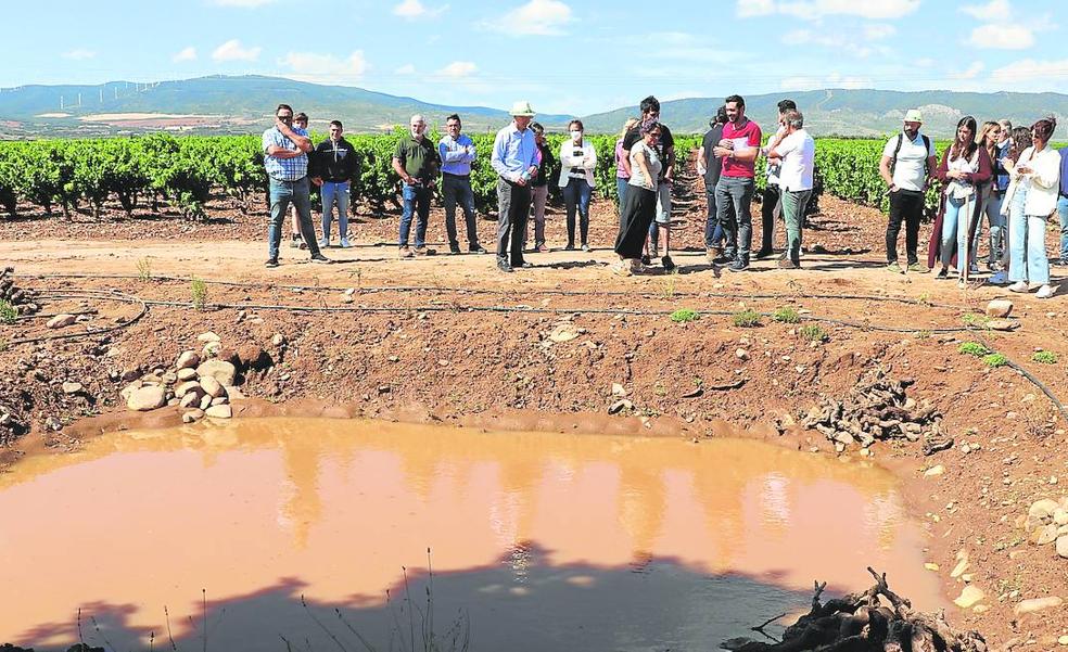 El proyecto 'Dionisio' busca en una finca riojana fomentar la alianza entre naturaleza y agricultura