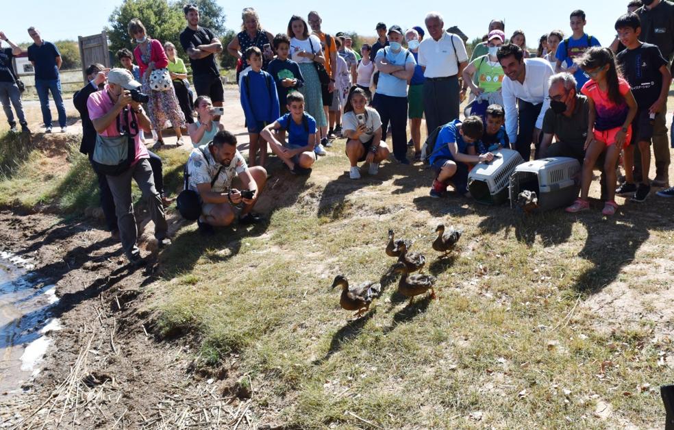 Un acto de solidaridad para volar en libertad