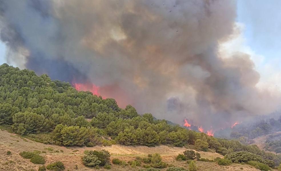 VÍDEO | Incendio en Yerga: así son las columnas de fuego que queman el monte