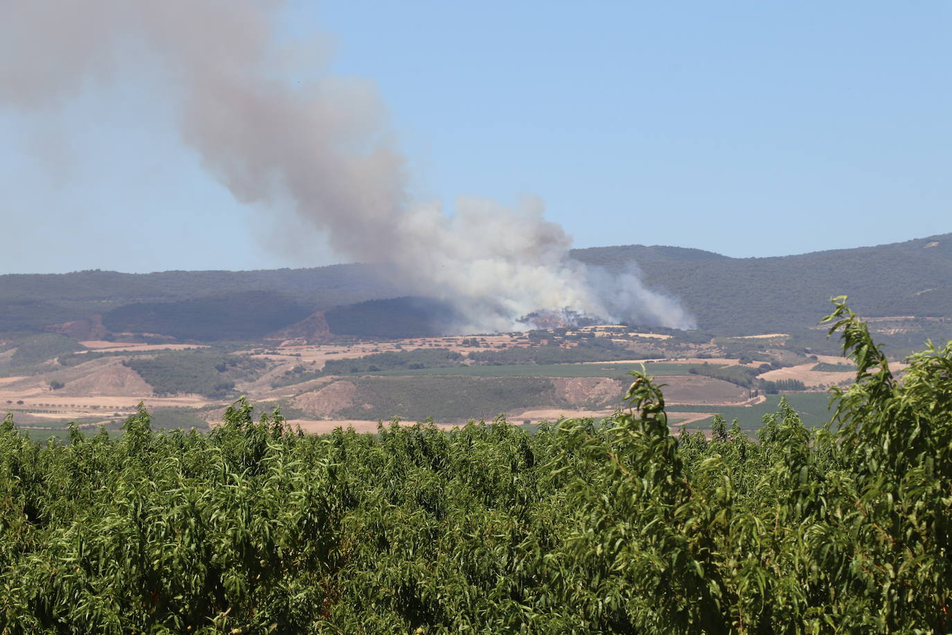 Incendio en el monte Yerga en Alfaro y Grávalos