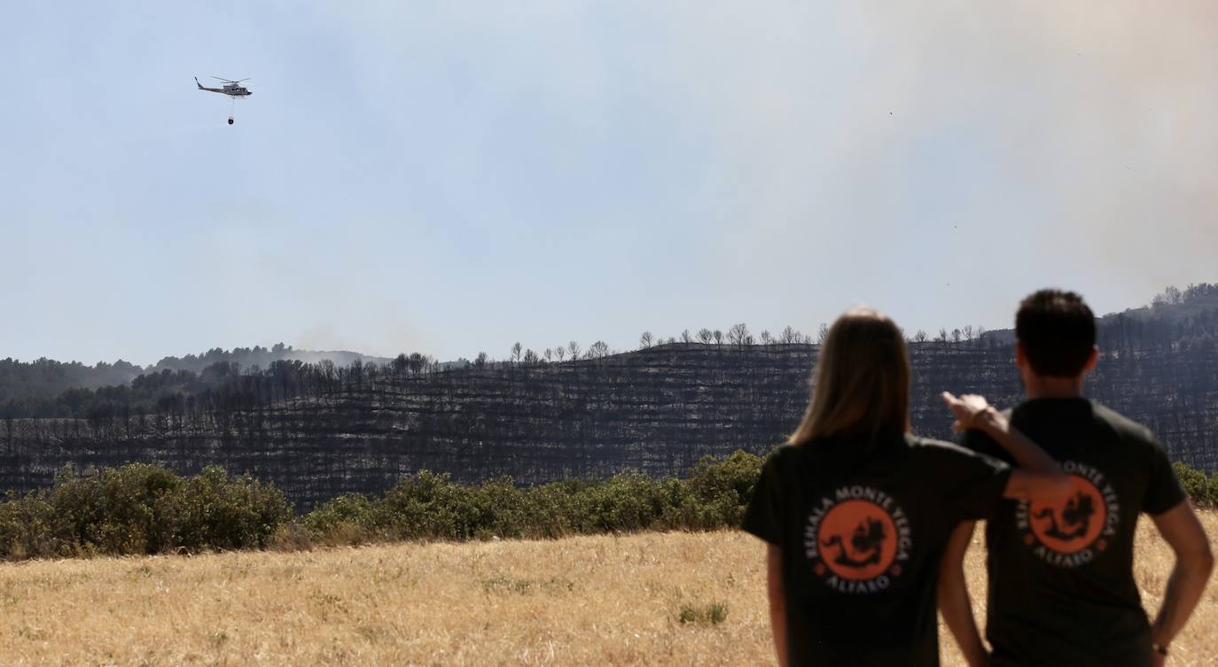 Incendio en Yerga: las imágenes del fuego que quema el monte riojano