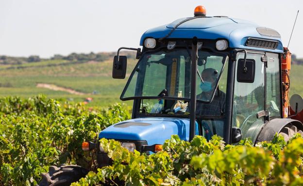 Prohibidos los trabajos agrícolas con maquinaria a partir de 35º C