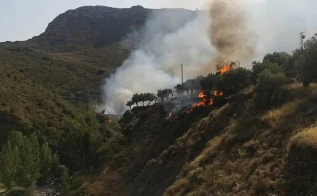 Retenes y medios áereos controlan un incendio forestal en Jubera