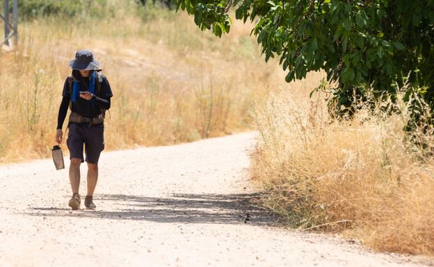 La ola de calor se cobra la vida de seis personas en La Rioja, según la estimación del Instituto Carlos III