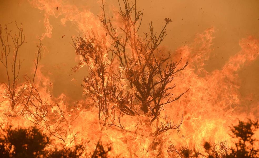 La crisis por calor extremo que vive España se ve desde el espacio