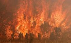 Una experta de UNIR advierte que la racha de incendios en España «es algo nunca visto en estas fechas»