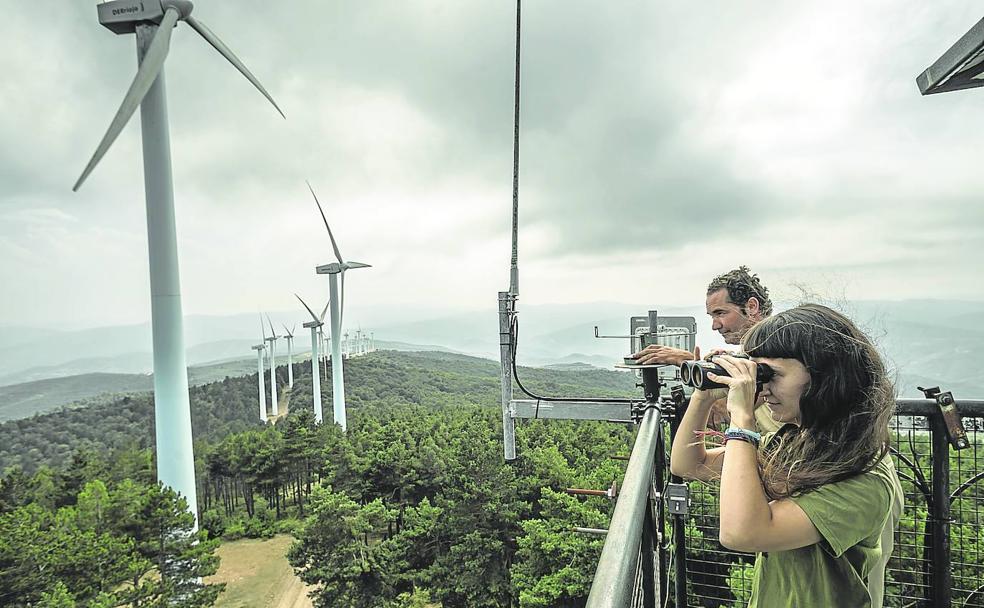 Los ojos del monte contra el fuego